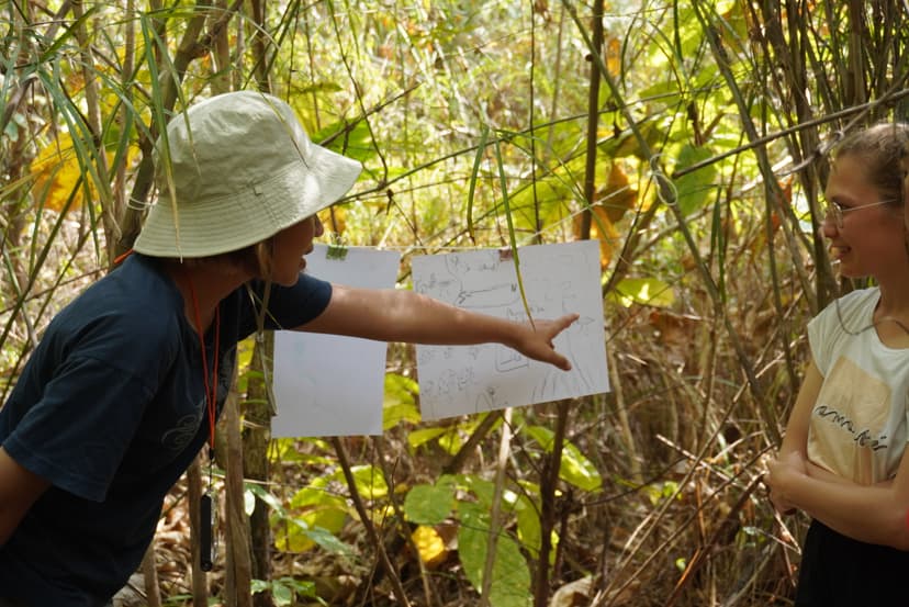 Courses and Nature Immersions