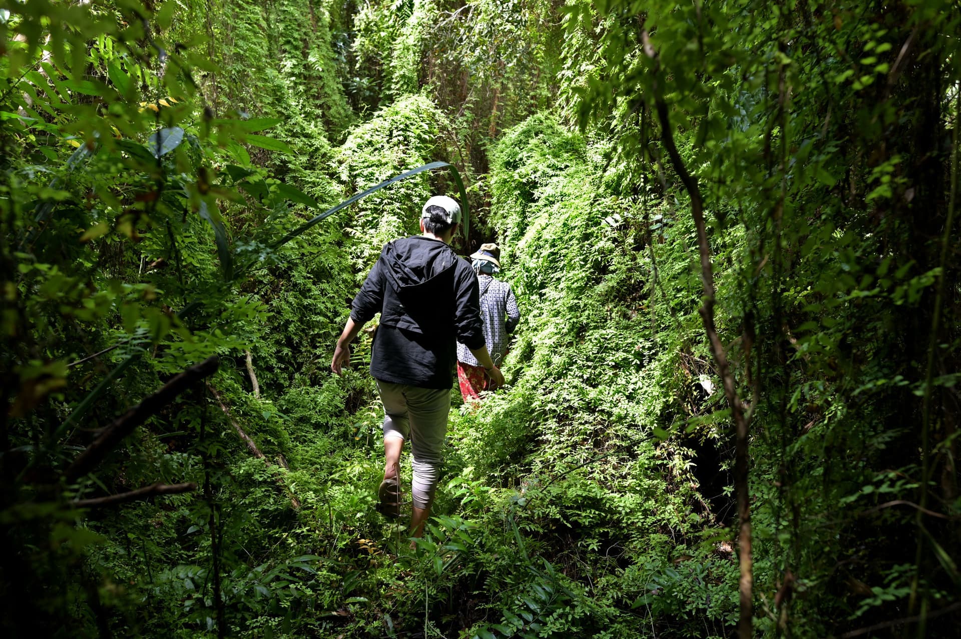 Nature Senses Connection Camp